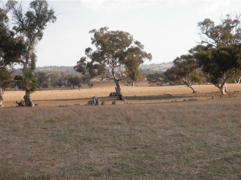 Lot 32 Pebbly Range Road, Tungkillo SA 5236