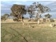 Lot 32 Pebbly Range Road, Tungkillo SA 5236
