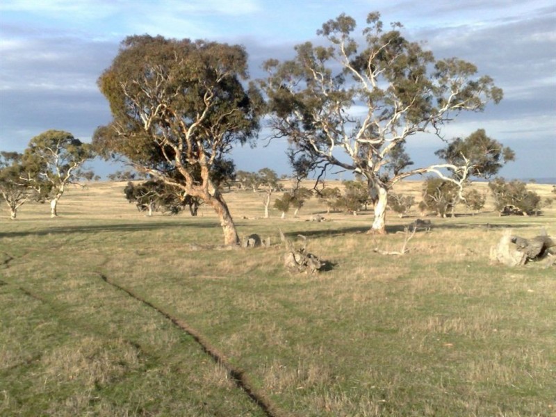 Lot 32 Pebbly Range Road, Tungkillo SA 5236