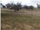Lot 32 Pebbly Range Road, Tungkillo SA 5236