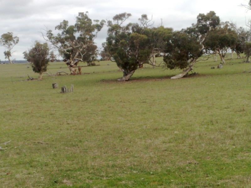 Lot 32 Pebbly Range Road, Tungkillo SA 5236