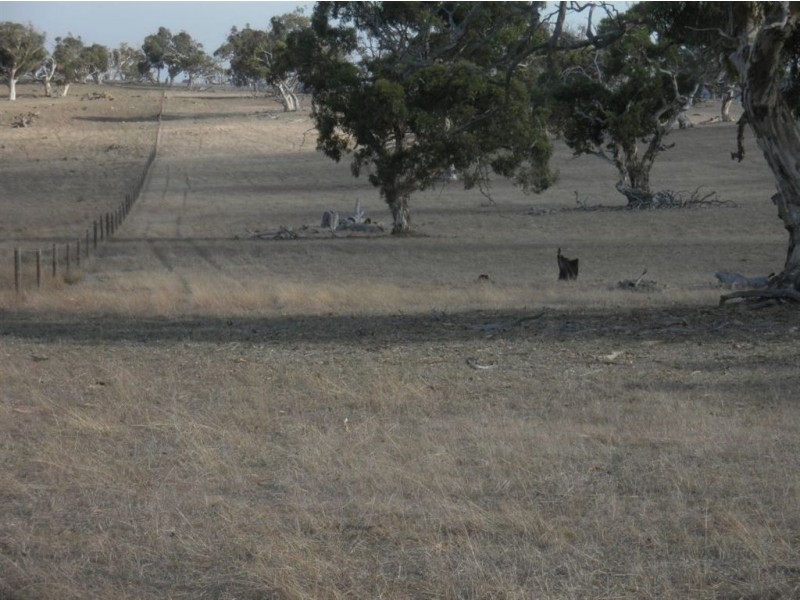 Lot 32 Pebbly Range Road, Tungkillo SA 5236