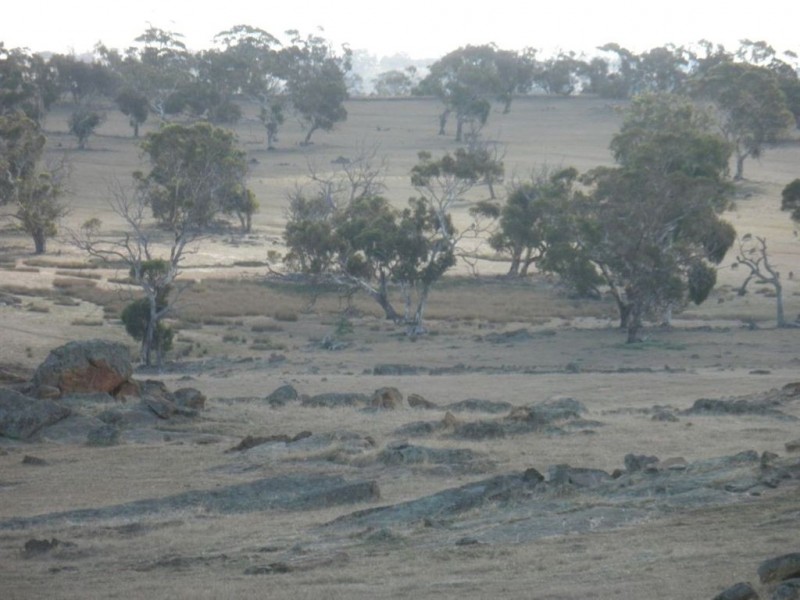 Lot 32 Pebbly Range Road, Tungkillo SA 5236