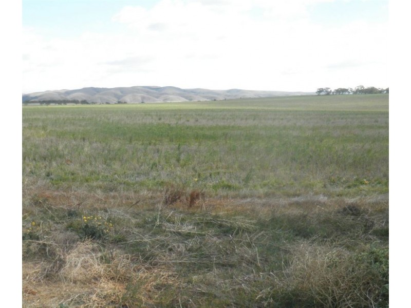 Allot 282 Ridley Road, Cambrai SA 5353