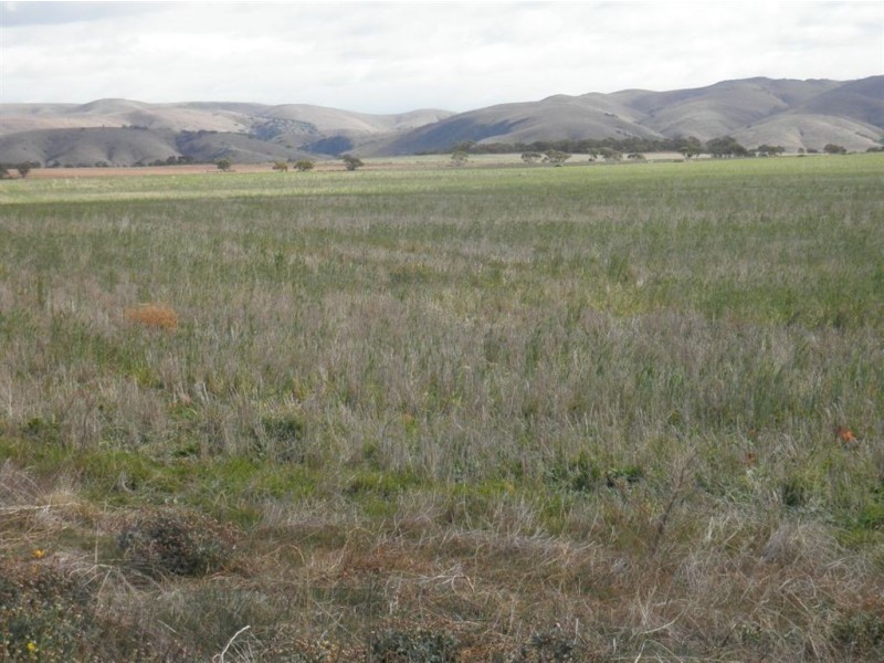 Allot 282 Ridley Road, Cambrai SA 5353