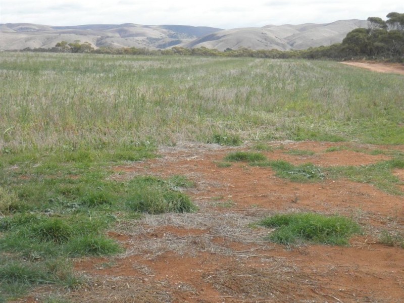 Allot 282 Ridley Road, Cambrai SA 5353