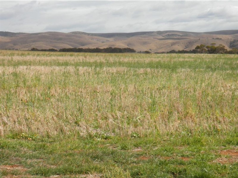 Allot 282 Ridley Road, Cambrai SA 5353