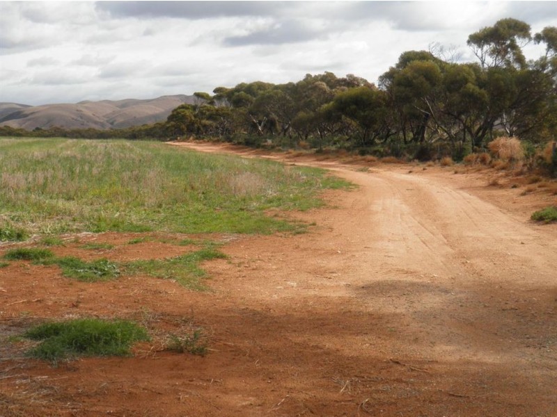 Allot 282 Ridley Road, Cambrai SA 5353