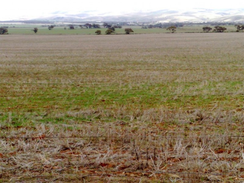 Allot 282 Ridley Road, Cambrai SA 5353