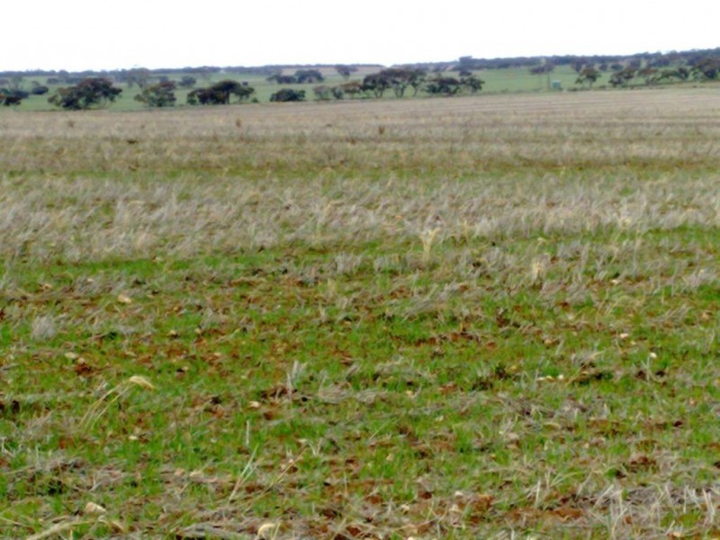 Allot 282 Ridley Road, Cambrai SA 5353