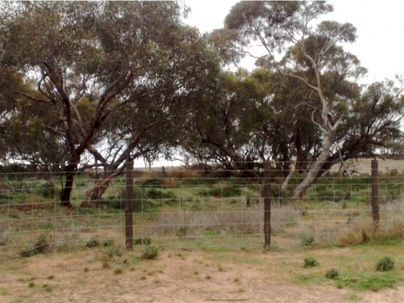 Allot 282 Ridley Road, Cambrai SA 5353