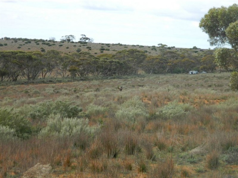 Sect 208 Schwertie Road, Black Hill SA 5353