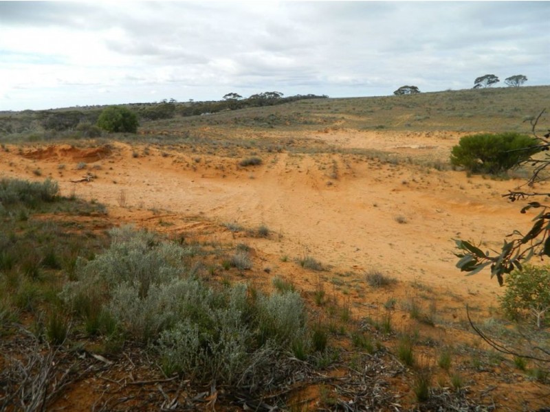 Sect 208 Schwertie Road, Black Hill SA 5353