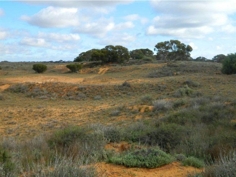 Sect 208 Schwertie Road, Black Hill SA 5353