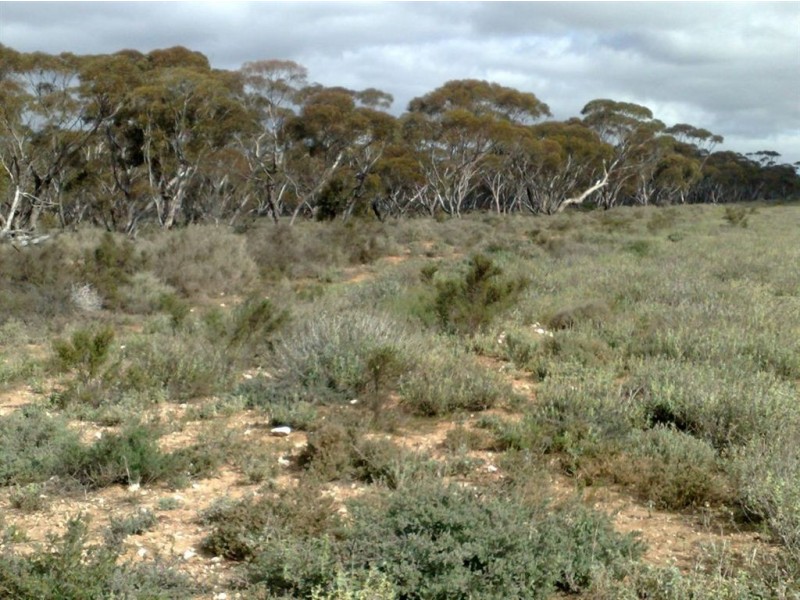 Sect 202 Rochow Road, Black Hill SA 5353