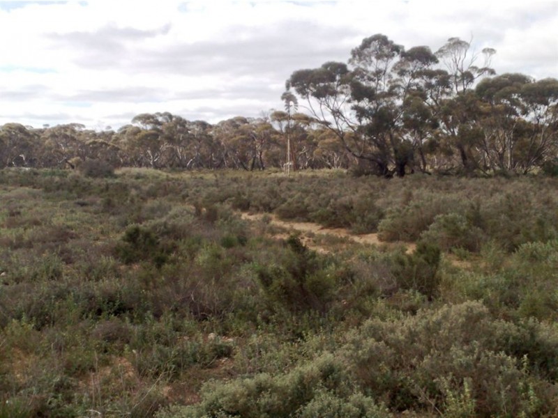 Sect 202 Rochow Road, Black Hill SA 5353