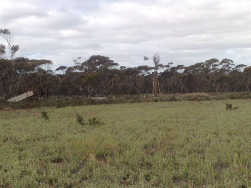 Sect 202 Rochow Road, Black Hill SA 5353