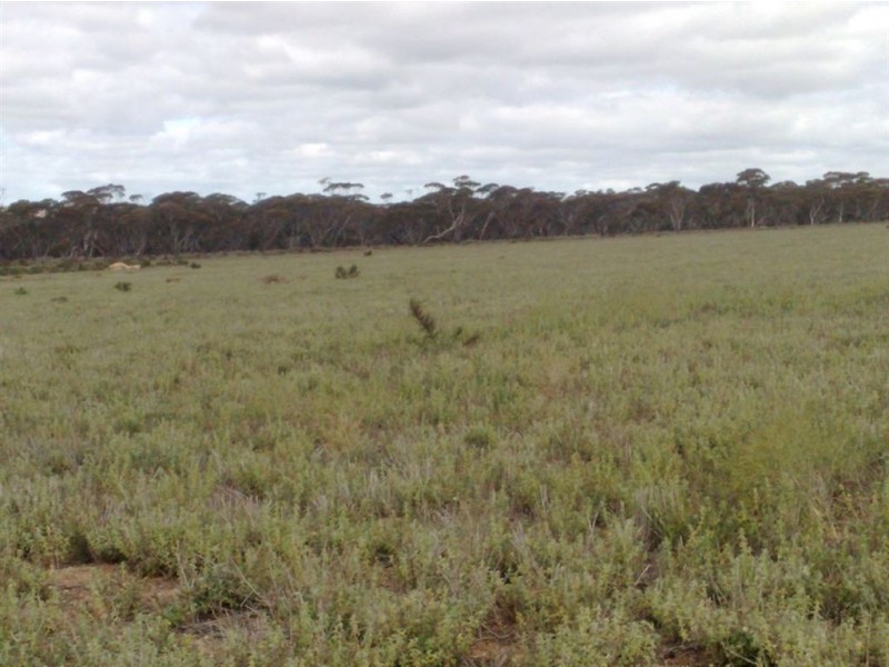 Sect 202 Rochow Road, Black Hill SA 5353