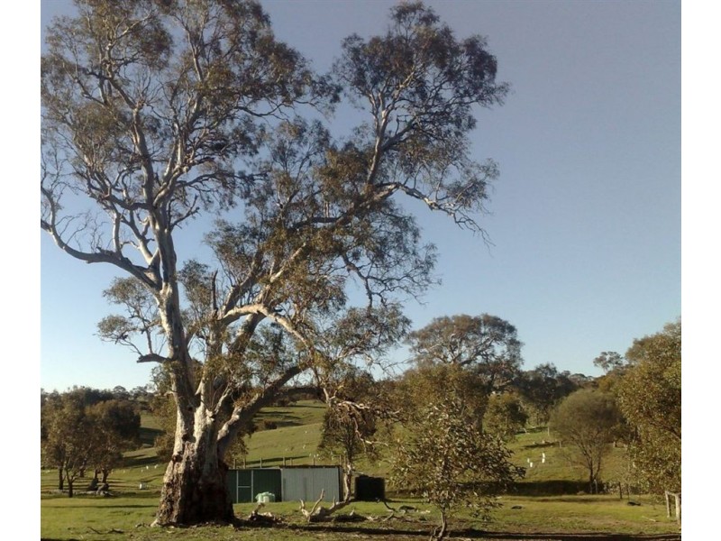 Sec 561 Government Road, Keyneton SA 5353