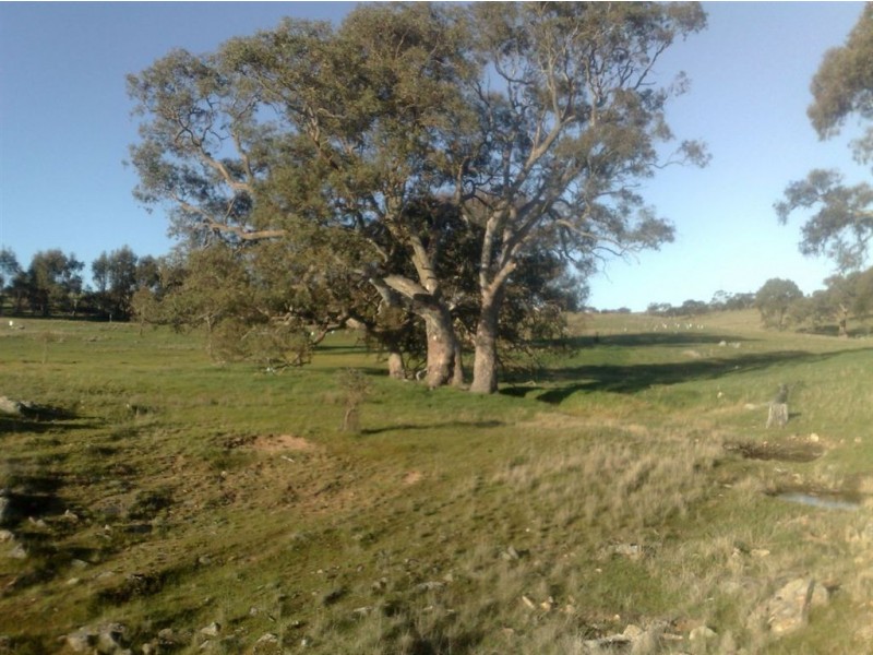 Sec 561 Government Road, Keyneton SA 5353