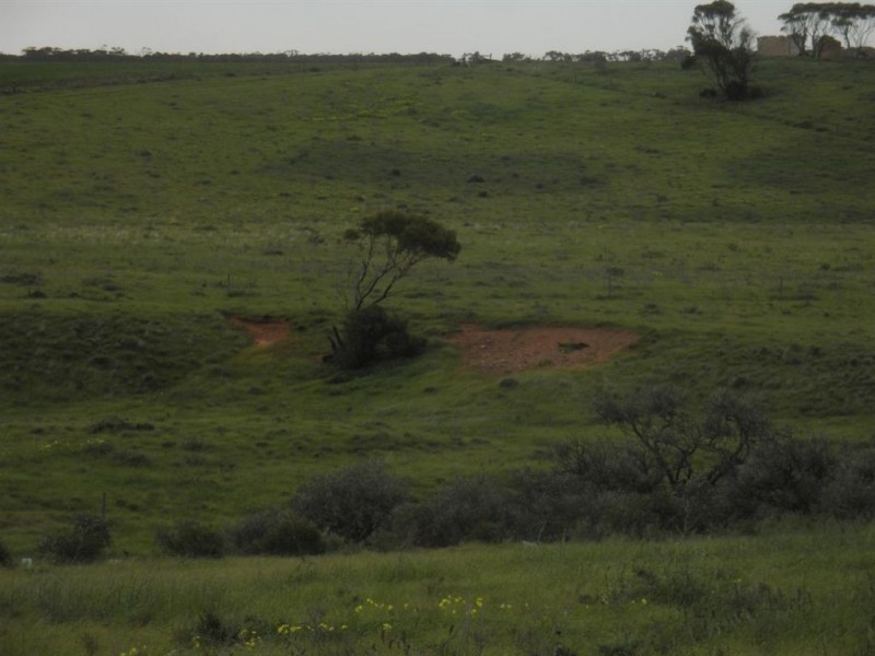 Sec 480 Three Chain Road, Cambrai SA 5353