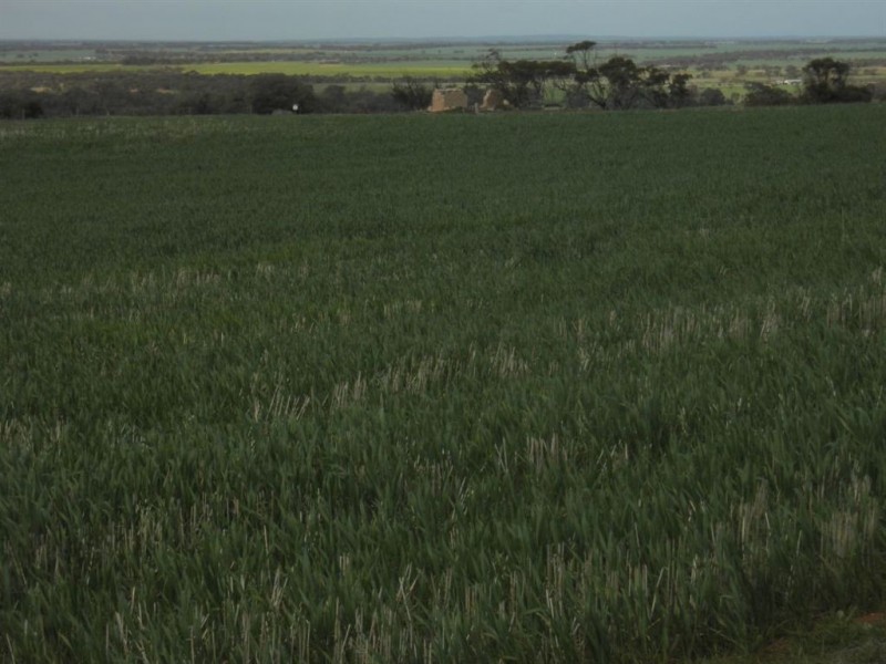 Sec 480 Three Chain Road, Cambrai SA 5353