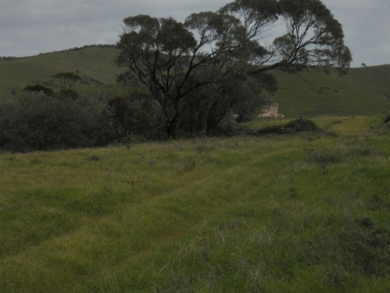 Sec 480 Three Chain Road, Cambrai SA 5353