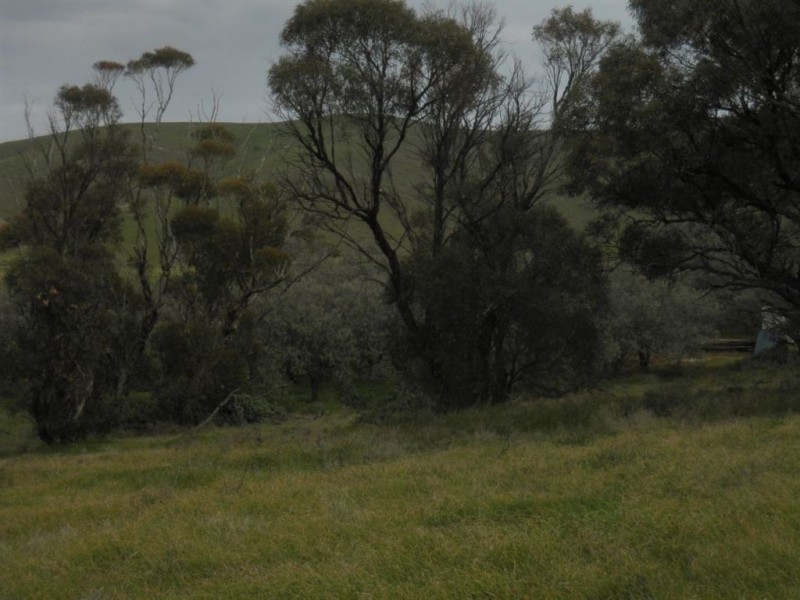 Sec 480 Three Chain Road, Cambrai SA 5353