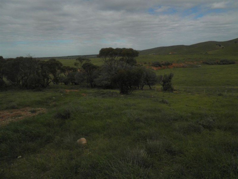 Sec 480 Three Chain Road, Cambrai SA 5353