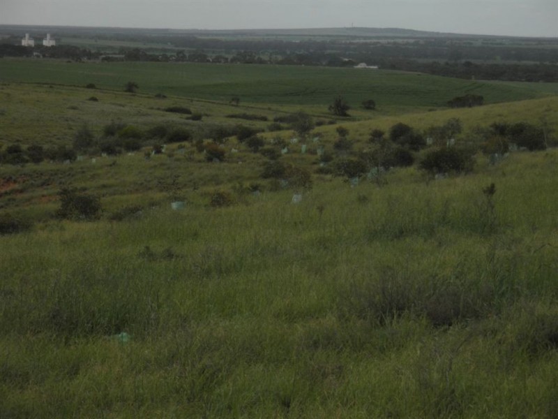 Sec 480 Three Chain Road, Cambrai SA 5353