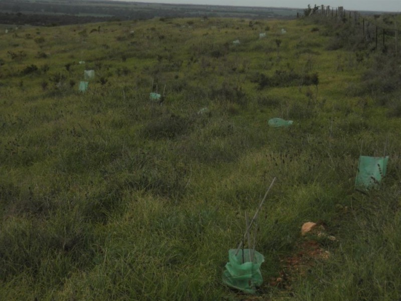 Sec 480 Three Chain Road, Cambrai SA 5353