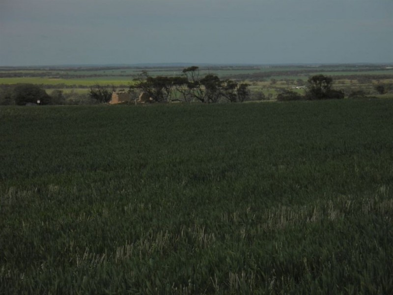 Sec 480 Three Chain Road, Cambrai SA 5353