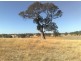 Lot 190 L. Vigars Road, Springton SA 5235
