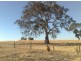 Lot 190 L. Vigars Road, Springton SA 5235