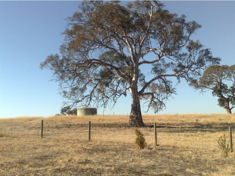 Lot 190 L. Vigars Road, Springton SA 5235