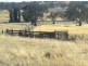 Lot 190 L. Vigars Road, Springton SA 5235