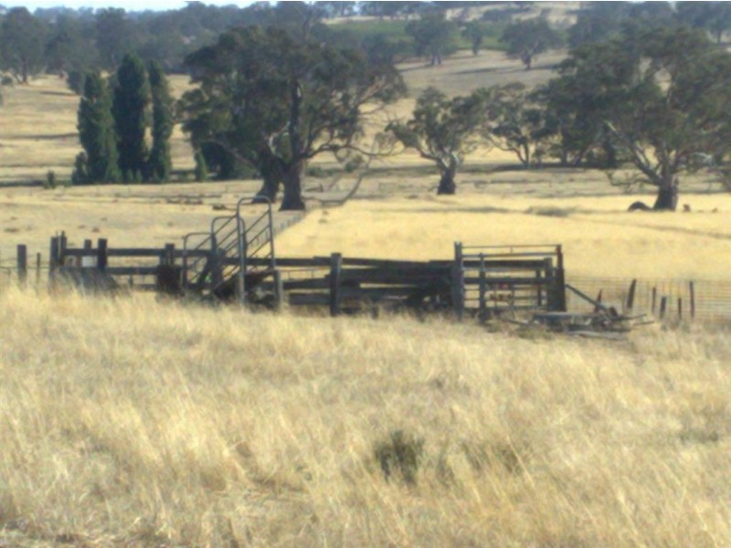 Lot 190 L. Vigars Road, Springton SA 5235