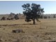 Lot 190 L. Vigars Road, Springton SA 5235