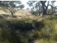 Lot 190 L. Vigars Road, Springton SA 5235