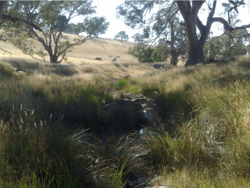 Lot 190 L. Vigars Road, Springton SA 5235