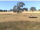 Lot 190 L. Vigars Road, Springton SA 5235