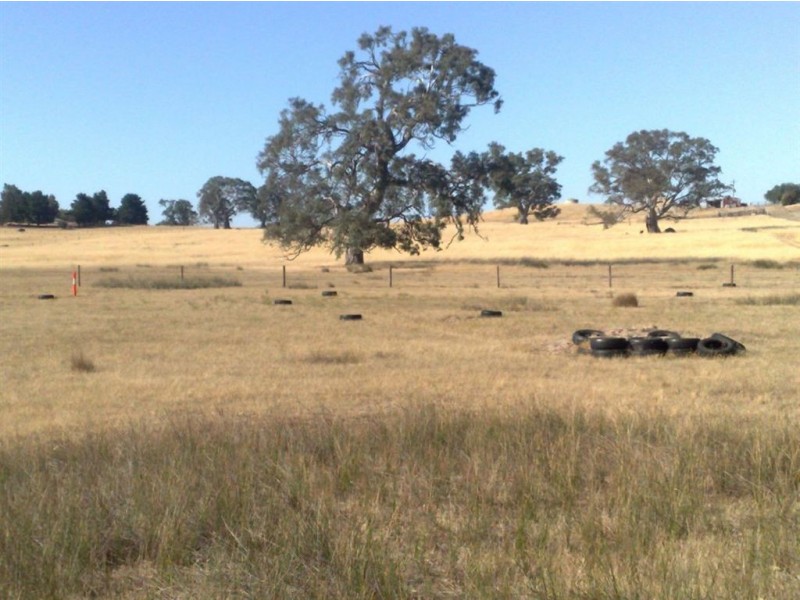 Lot 190 L. Vigars Road, Springton SA 5235