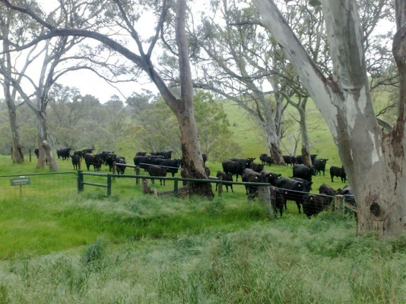 Lot 22 Warmington Run Road, Mount Torrens SA 5244