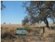 1157 Starick Road Kongolia VIA, Cambrai SA 5353