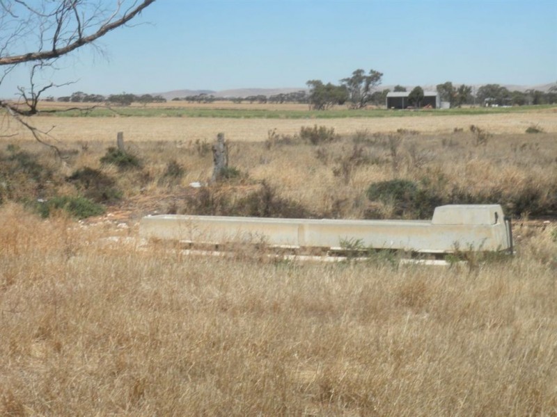1157 Starick Road Kongolia VIA, Cambrai SA 5353