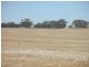 1157 Starick Road Kongolia VIA, Cambrai SA 5353