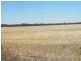 1157 Starick Road Kongolia VIA, Cambrai SA 5353