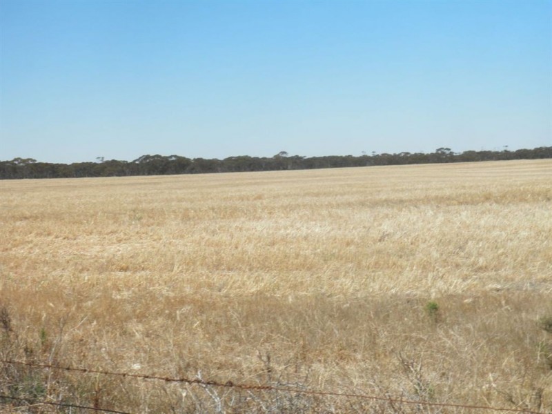 1157 Starick Road Kongolia VIA, Cambrai SA 5353