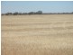 1157 Starick Road Kongolia VIA, Cambrai SA 5353