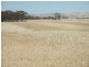 1157 Starick Road Kongolia VIA, Cambrai SA 5353